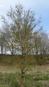 P1310633