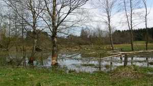 P1310650