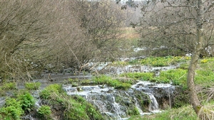 P1310662