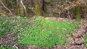 P1310669
