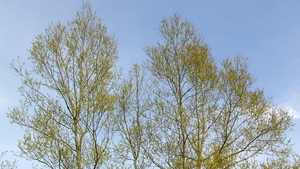 P1310677