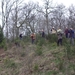 Bevers Ardennen 001
