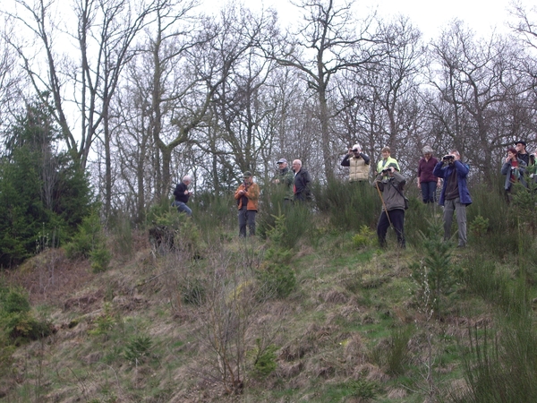 Bevers Ardennen 001