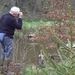 Bevers Ardennen 006