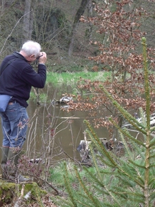 Bevers Ardennen 006