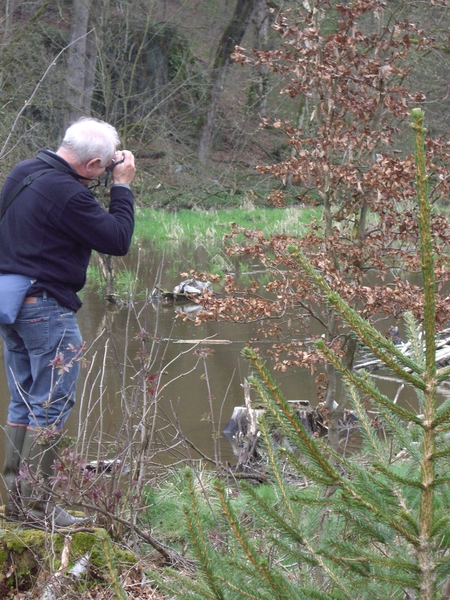 Bevers Ardennen 006