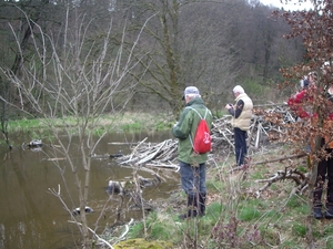 Bevers Ardennen 010