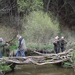 Bevers Ardennen 018