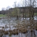 Bevers Ardennen 027