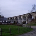 Bevers Ardennen 038