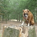 mia en desra op de kluis 004