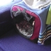 SAM_0054
