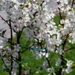 SAM_0125