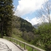 SAM_0148