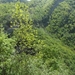 SAM_0223