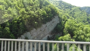 SAM_0224