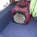 SAM_0143