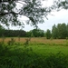 2012-06-02 Waasmunster 029