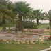 HPIM0663