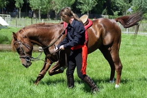 SchooneSchaapjes-Staden-Paardendres.