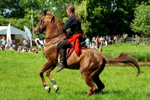 SchooneSchaapjes-Staden-Paardendres.