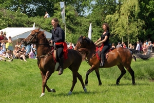 SchooneSchaapjes-Staden-Paardendres.