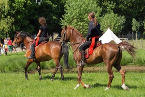 SchooneSchaapjes-Staden-Paardendres.