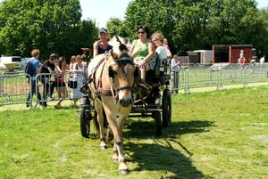 SchooneSchaapjes-Staden-