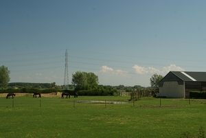 SchooneSchaapjes-Staden-