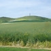 DSC00605