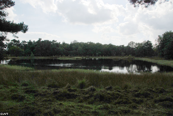 Drenthe 8