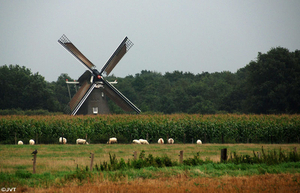 Drenthe 32