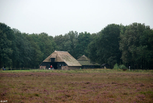 Drenthe 38