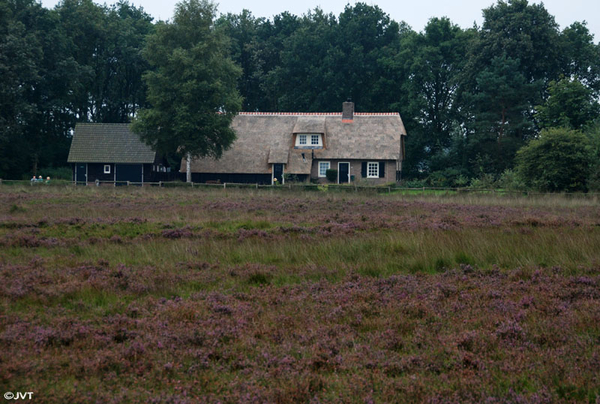 Drenthe 39