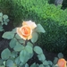 Beek en Donk, 2 juni 2012 014