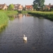 Beek en Donk, 2 juni 2012 019