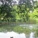Beek en Donk, 2 juni 2012 029