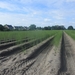 Beek en Donk, 2 juni 2012 041
