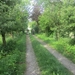 Beek en Donk, 2 juni 2012 050