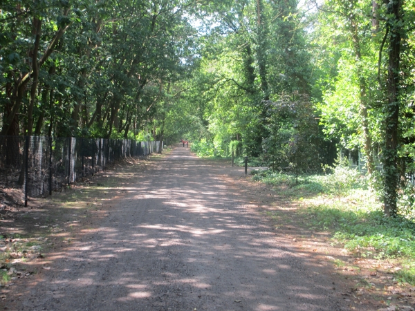 Beek en Donk, 2 juni 2012 071