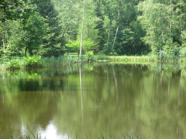Beek en Donk, 2 juni 2012 074