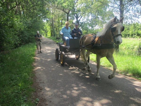 Beek en Donk, 2 juni 2012 078