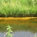 Beek en Donk, 2 juni 2012 083