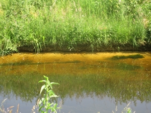 Beek en Donk, 2 juni 2012 083