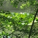 Beek en Donk, 2 juni 2012 092