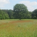 Beek en Donk, 2 juni 2012 089