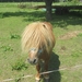 Beek en Donk, 2 juni 2012 101