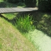Beek en Donk, 2 juni 2012 104