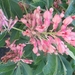 Beek en Donk, 2 juni 2012 106