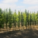 Beek en Donk, 2 juni 2012 115